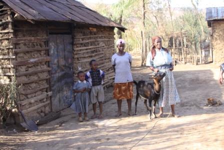 Kaluoki village goat program