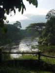 Mara River
