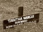 The cemetery at Naivasha