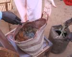 Kaluoki village chicken program