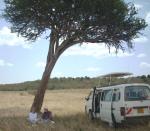 Maasai Mara picnic