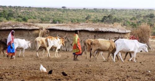 Maasai Village