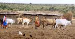 Maasai Village